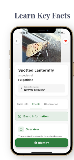 AI Insect Bug Identifier ekran görüntüsü