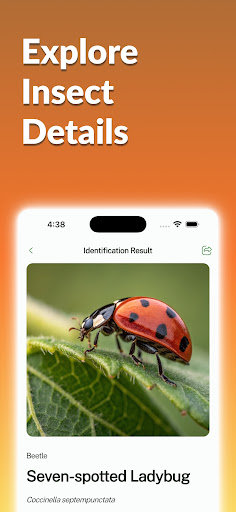 Bug Identifier: Bug Finder ekran görüntüsü