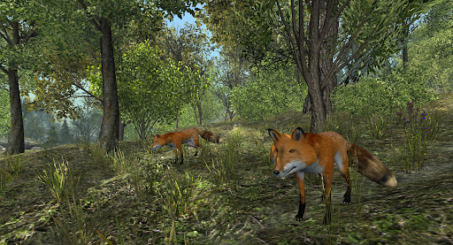 VR ZOO Safari Park Animal Game ekran görüntüsü