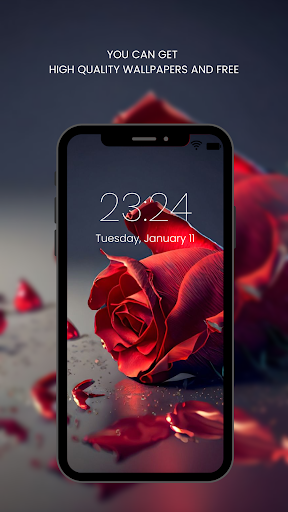 Red Rose Wallpapers Flowers ekran görüntüsü