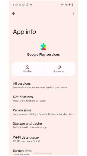 Services Info ekran görüntüsü