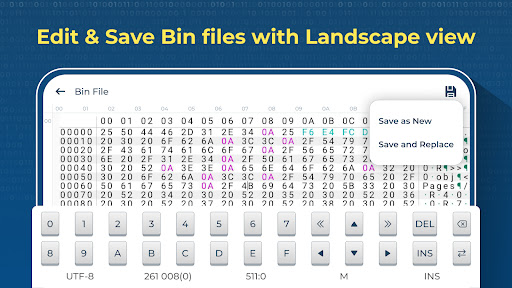 Bin File Viewer and Editor ekran görüntüsü
