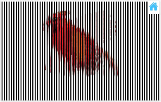 illusion animation scanner - a ekran görüntüsü