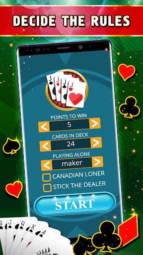 Euchre Offline - Single Player ekran görüntüsü