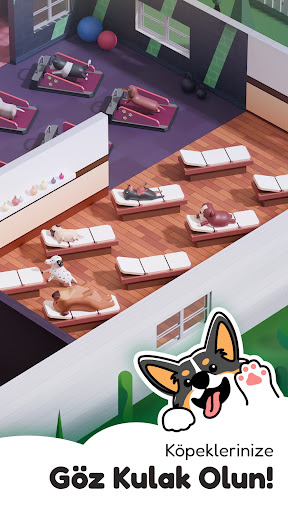 Dog Hotel Tycoon - Köpek Oyunu ekran görüntüsü
