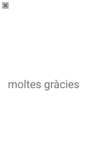 Spanish Catalan Translator ekran görüntüsü