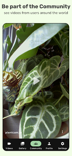 PlantCam Timelapse Camera ekran görüntüsü