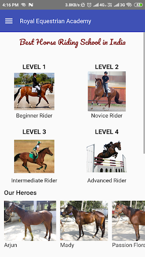 Horse Riding Classes Bangalore ekran görüntüsü