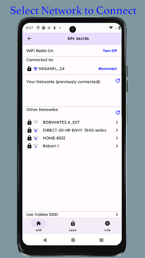 BTBerryWifi ekran görüntüsü