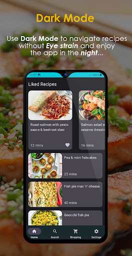 Fish Recipes Offline ekran görüntüsü