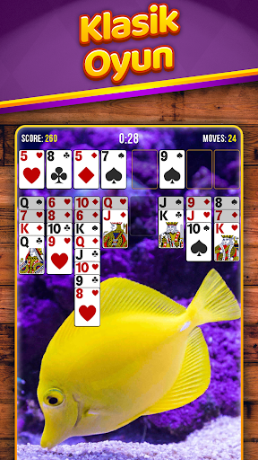 Freecell ekran görüntüsü