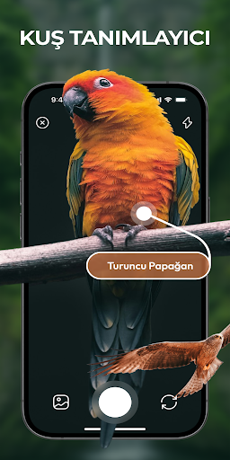 Bird Identifier Sound Guide ekran görüntüsü