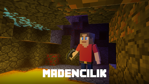 Block World 3D: El İşi & İnşa ekran görüntüsü