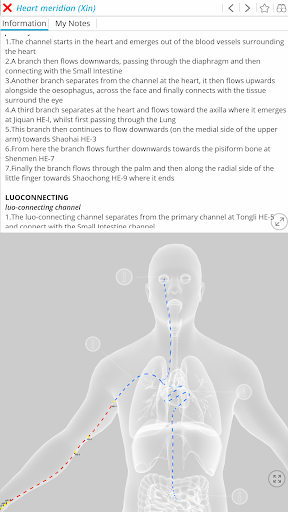 Visual Acupuncture 3D ekran görüntüsü