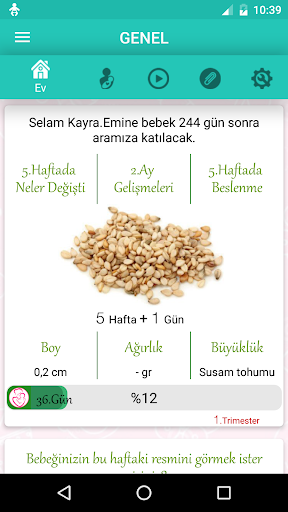 Hafta Hafta Gebelik Takibi ekran görüntüsü