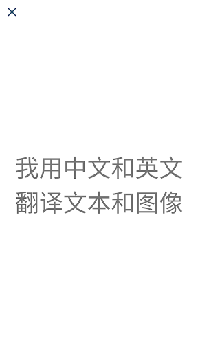 Vietnamese Chinese Translator ekran görüntüsü