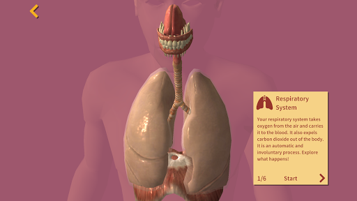 Arloon Anatomy AR ekran görüntüsü
