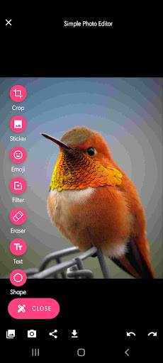Simple Photo Editor ekran görüntüsü