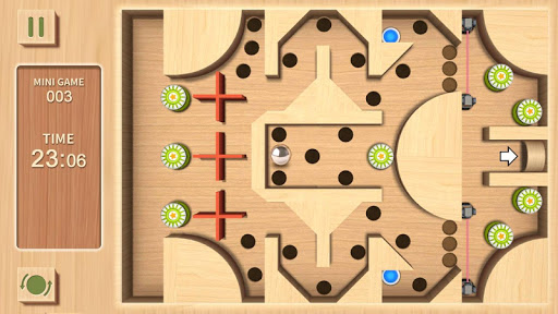 Maze Rolling Ball 3D ekran görüntüsü