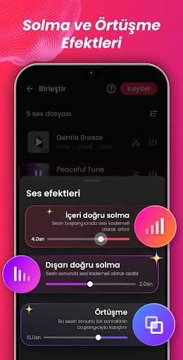 Ses Editörü, Müzik Editörü ekran görüntüsü