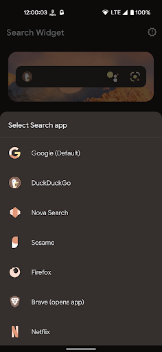 Search Widget (Material You) ekran görüntüsü