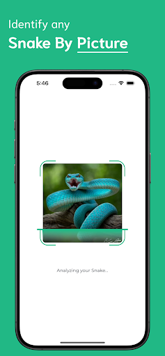 Snake Identifier ekran görüntüsü