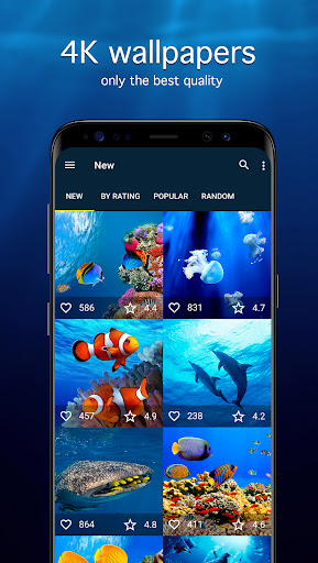 Underwater Wallpapers 4K ekran görüntüsü