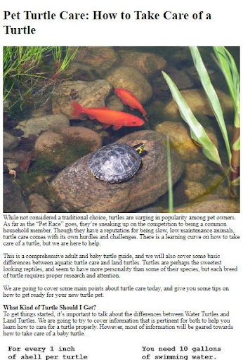 Pet Turtle Care Guide ekran görüntüsü