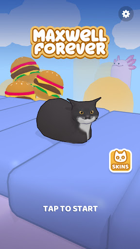 Maxwell Forever - Cat Game ekran görüntüsü