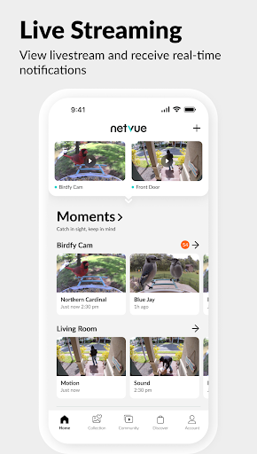 Netvue Next - In Sight In Mind ekran görüntüsü