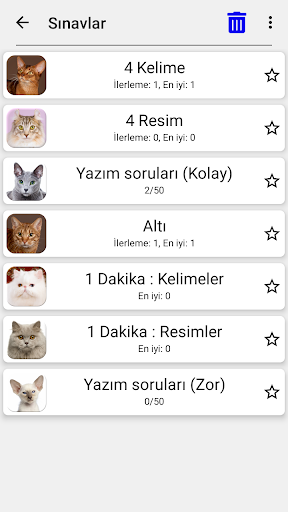 Kedi ırkları - Fotoğraf testi ekran görüntüsü