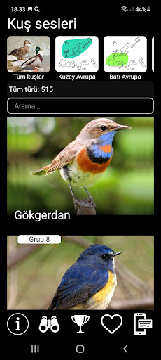 Avrupa kuş sesleri PRO ekran görüntüsü