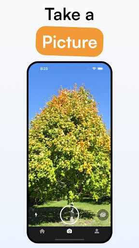 TreeID - Tree Identifier ekran görüntüsü