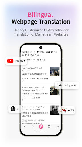 Immersive Translate ekran görüntüsü