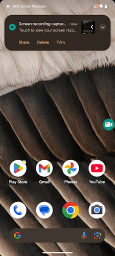 ADV Screen Recorder ekran görüntüsü