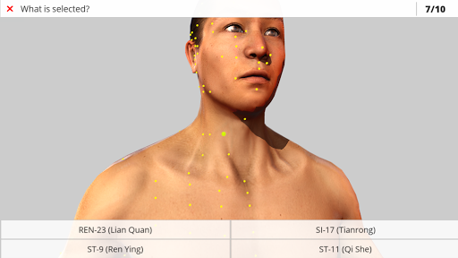 Visual Acupuncture 3D ekran görüntüsü