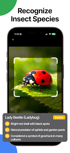 Identify Anything Lens Camera ekran görüntüsü