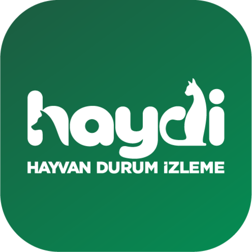 HAYDİ