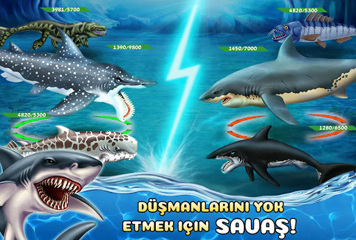 Shark World ekran görüntüsü