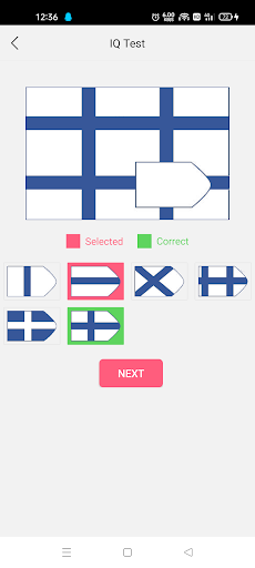 IQ Test ekran görüntüsü