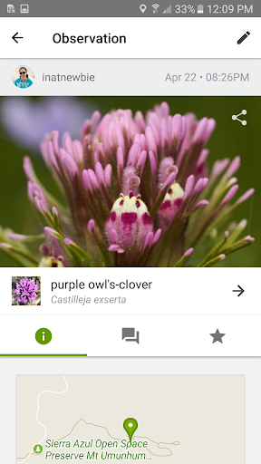 iNaturalist ekran görüntüsü