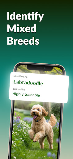 Dog Breed Identifier With AI ekran görüntüsü