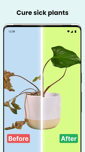 PlantCam: AI Plant Identifier ekran görüntüsü