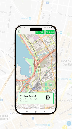 Haydi Gelsin - Driver ekran görüntüsü