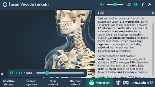İnsan Vücudu (erkek) 3B ekran görüntüsü