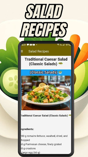 Salad Recipes ekran görüntüsü