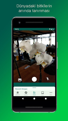 PlantSnap ekran görüntüsü