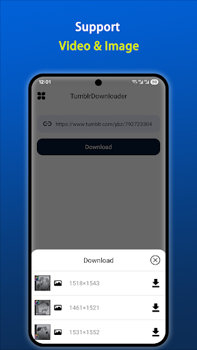 Downloader for Tumblr ekran görüntüsü