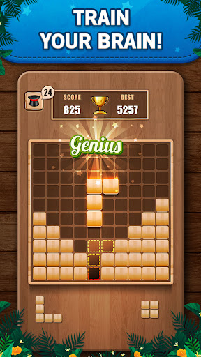 Wooden 100 Block Puzzle Game ekran görüntüsü