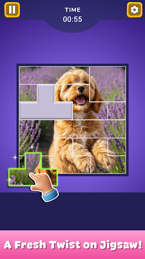 Block Jigsaw Puzzle ekran görüntüsü